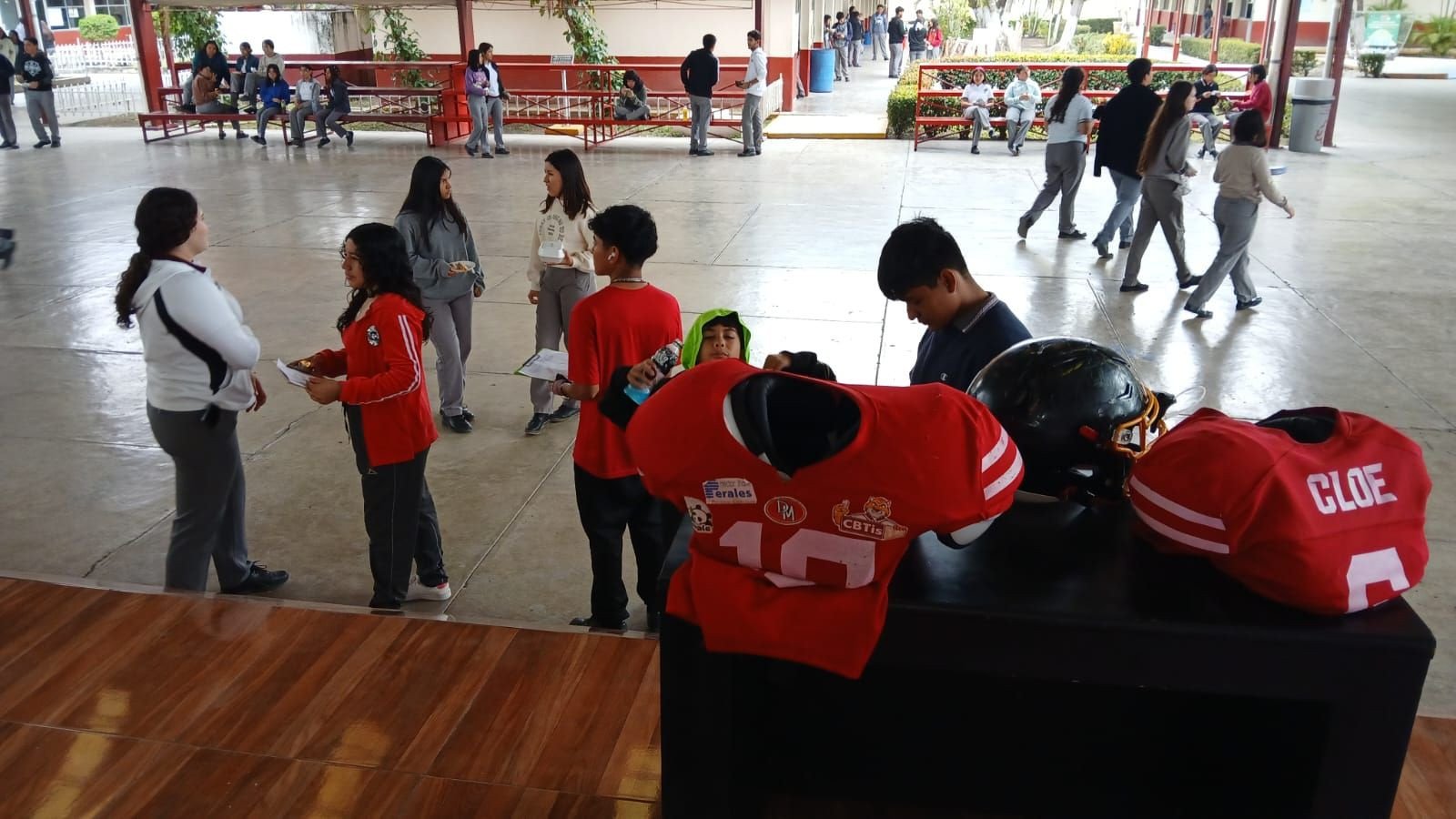 Imagen 8