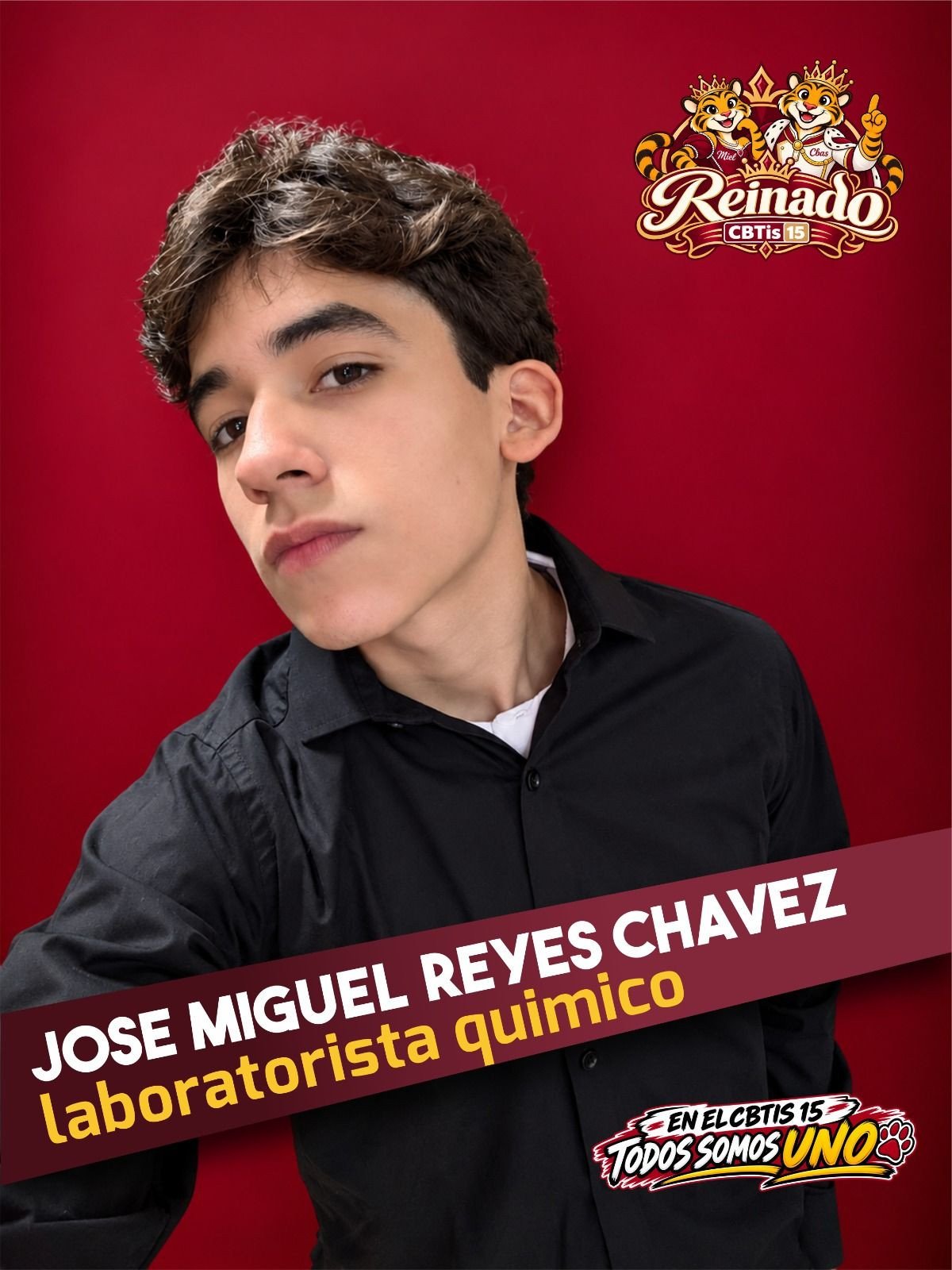 Imagen 5